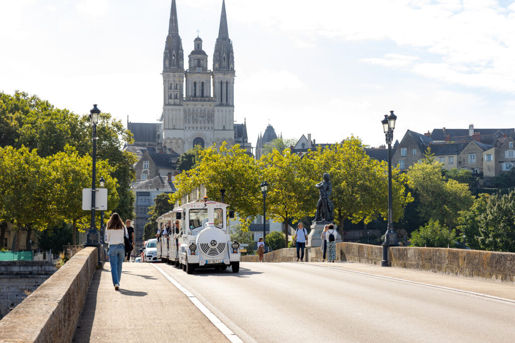 Angers - Cathédrale